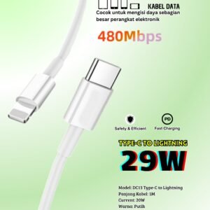 Type C to Lightning EXP